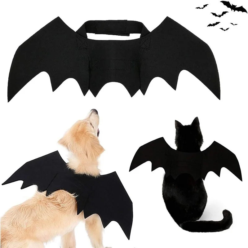Cat Bat Wings Cosplay Costume