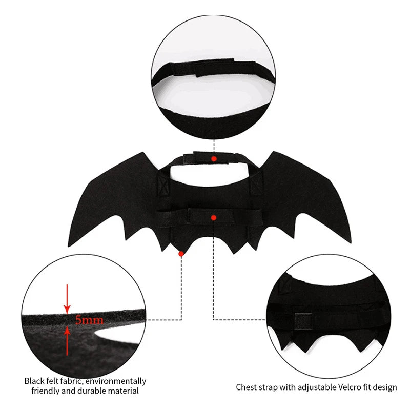 Cat Bat Wings Cosplay Costume