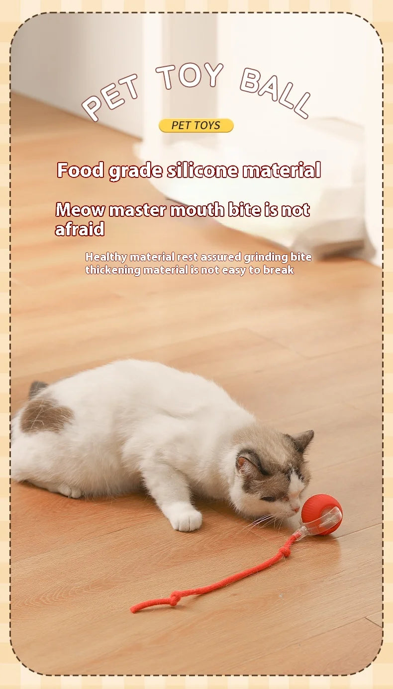 Electric Automatic Rolling Cat Ball