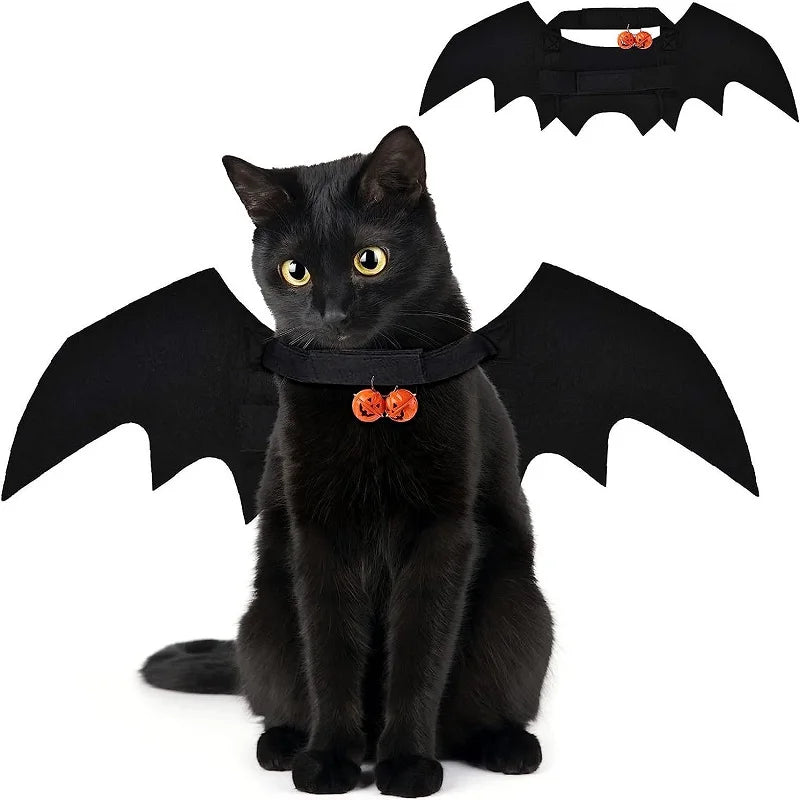 Cat Bat Wings Cosplay Costume