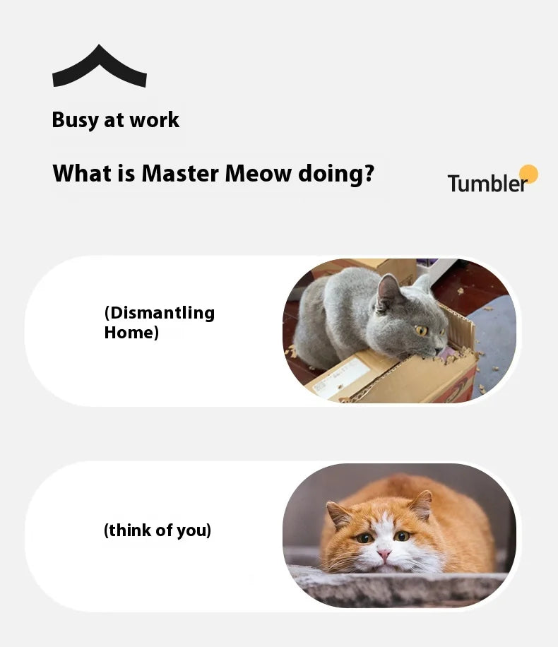 Electric Automatic Rolling Cat Ball