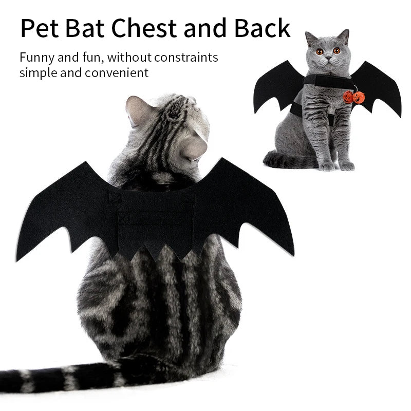 Cat Bat Wings Cosplay Costume