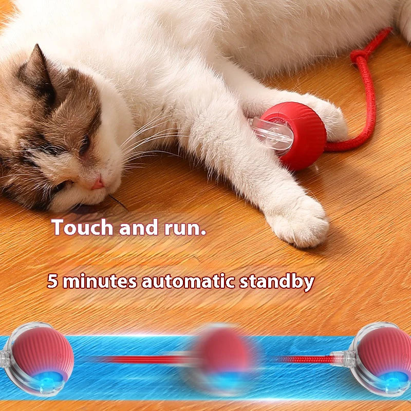 Electric Automatic Rolling Cat Ball