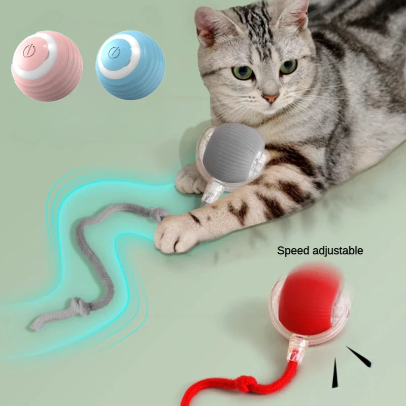 Electric Automatic Rolling Cat Ball