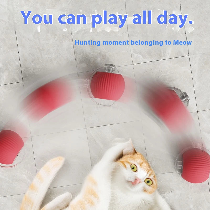 Electric Automatic Rolling Cat Ball