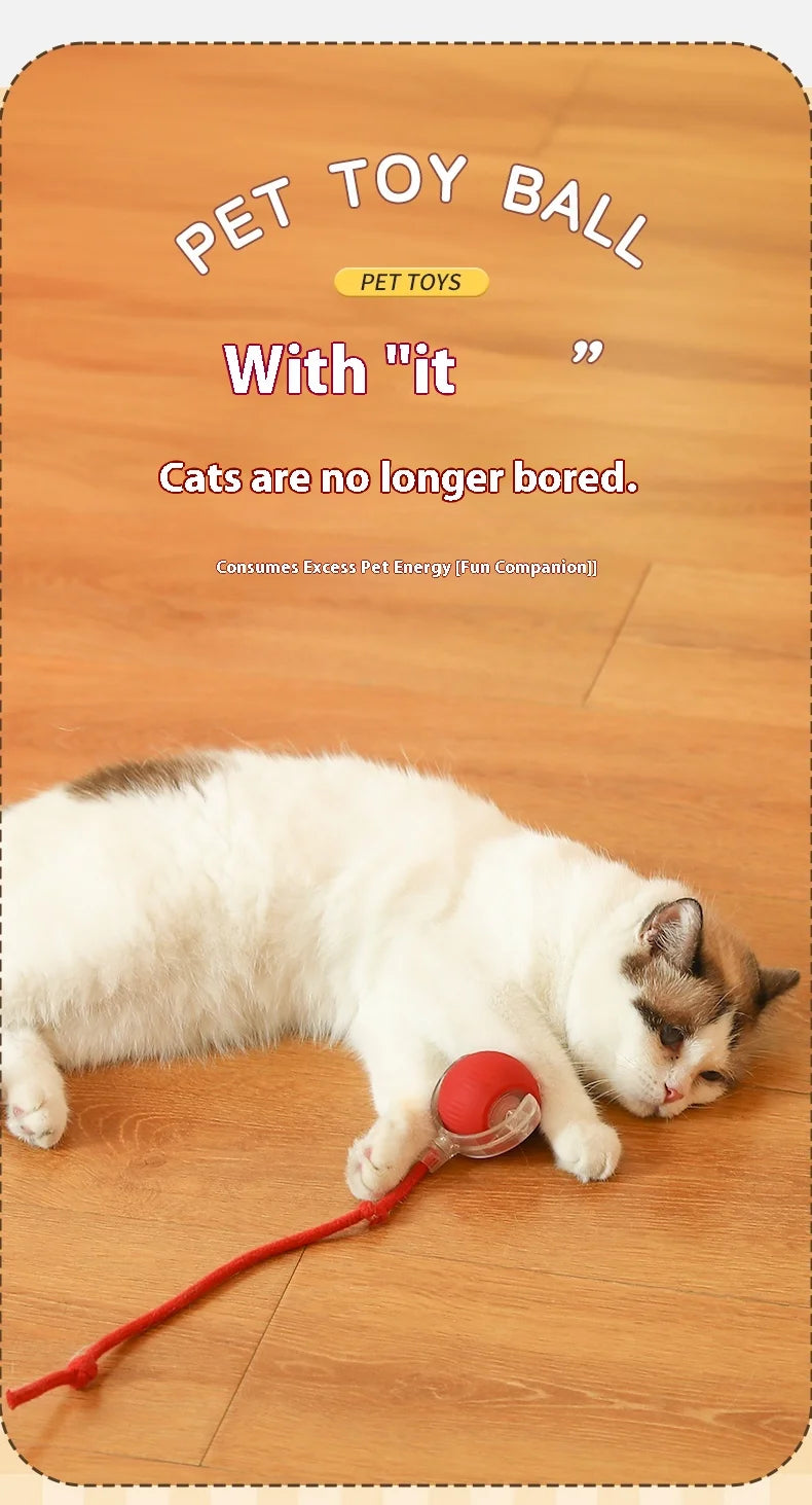 Electric Automatic Rolling Cat Ball